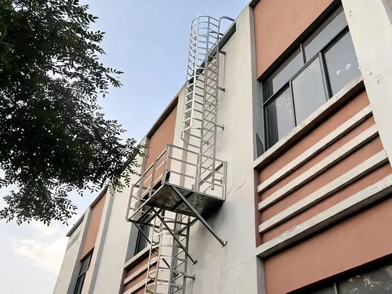 Roof access cat ladder on building