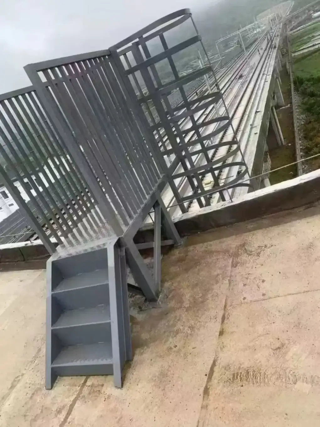 Cat ladder on water tank